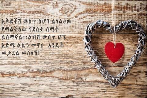 እኔና አንቺ - Ethiopian Couples Conversation скриншот 6