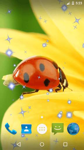 Ladybug Live Wallpaper screenshot 4