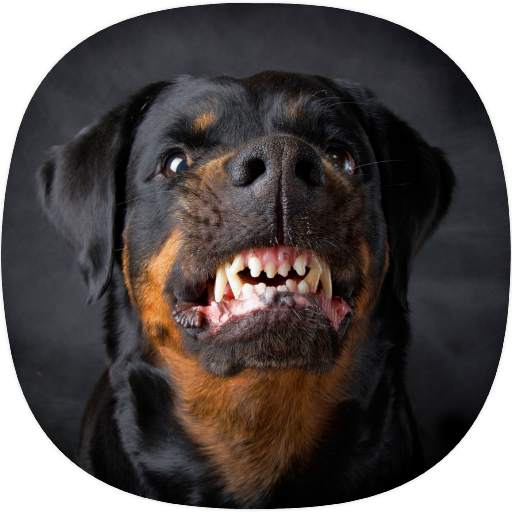 Barking Dog Ringtones 1.2