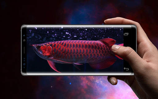 Red Arowana 3D LiveWallpaper screenshot 3