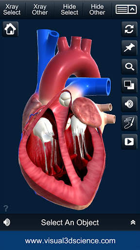 My Heart Anatomy screenshot 4