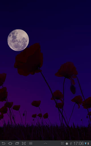 Poppy Field Free screenshot 8