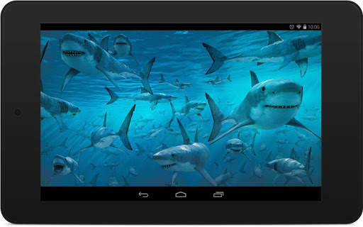 Shark Wallpapers screenshot 6