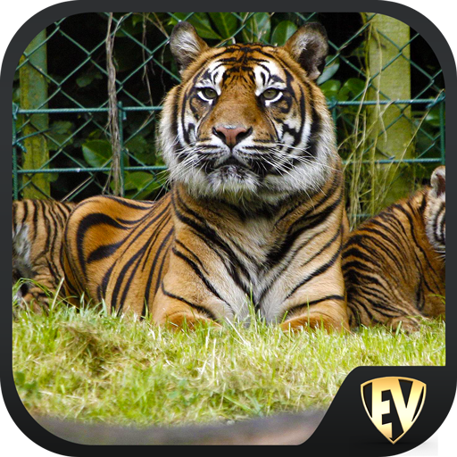 Famous Zoos Travel &amp; Explore G иконка