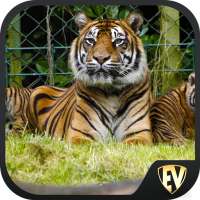 Famous Zoos Travel & Explore G