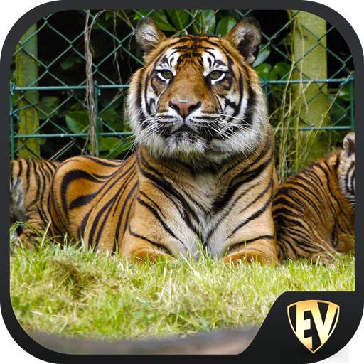 Famous Zoos Travel & Explore G 1.0.8
