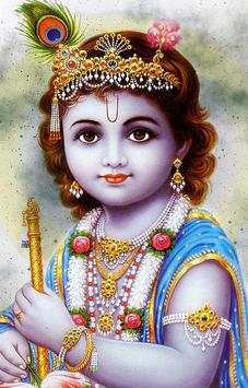 Krishna Janmashtami screenshot 4