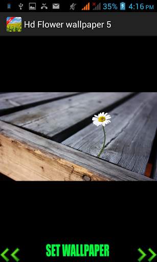 Hd Flower Wallpaper screenshot 6