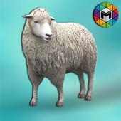 My Sheep Simulator