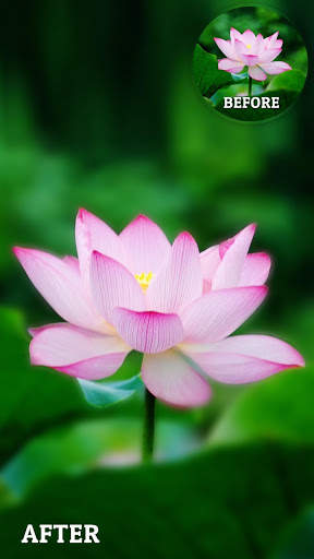 DSLR Blur App - Blur Photo Editor Blur Background screenshot 5