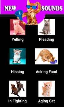 Funny Cat Sounds screenshot 3