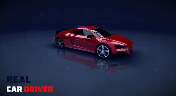 Real Car Driver 3D screenshot 1
