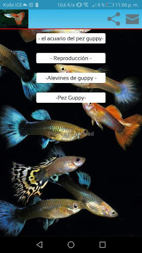 cria guppy screenshot 1