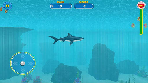 Shark Attack Wild Simulator screenshot 2