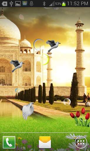 Taj Mahal Birds Live Wallpaper screenshot 3