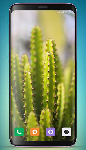 Plants Wallpaper HD screenshot 5