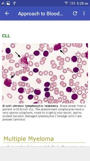 Hematology Overview screenshot 3