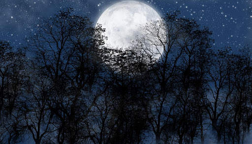 Moon Live Wallpapers screenshot 7