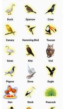 English kids Learning screenshot 7