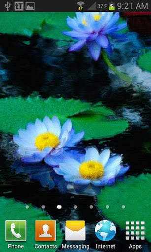 Nature Lotus Live Wallpaper screenshot 3