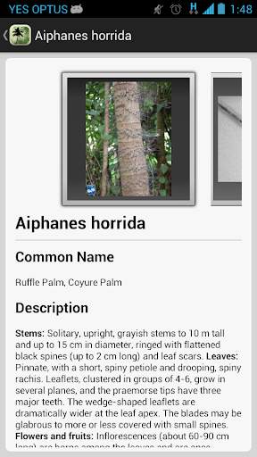 Palm ID Key screenshot 4