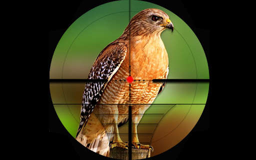 Bird Hunting Challenge Sniper Shooting 2018 screenshot 2