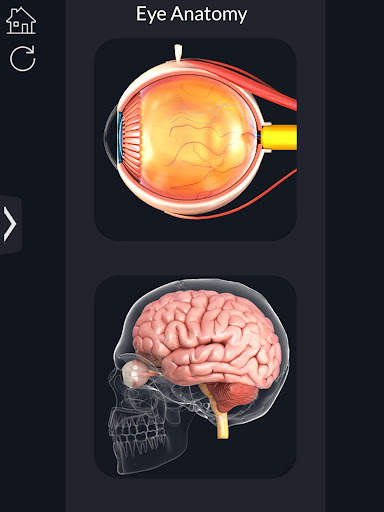 My Eye Anatomy screenshot 2