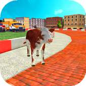 Animal Racing : Cow 1.0