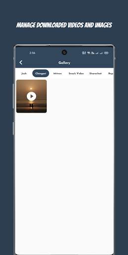 Social Media Video Downloader screenshot 5