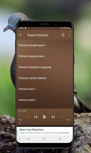 Kicau Burung Perkutut Offline screenshot 4