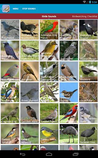 Australian Birds Sounds Free स्क्रीनशॉट 10