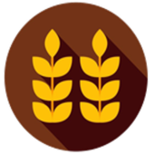 VKS CAPI - Cuba 1.0.0.T8 icon