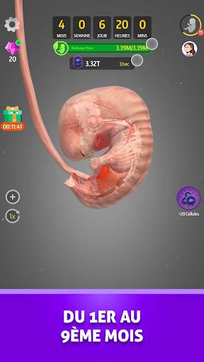 Idle 9 Months screenshot 3