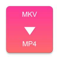 MKV to MP4 Converter on 9Apps