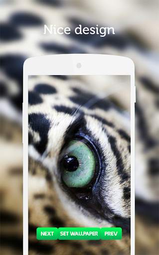 Leopard Wallpaper screenshot 5