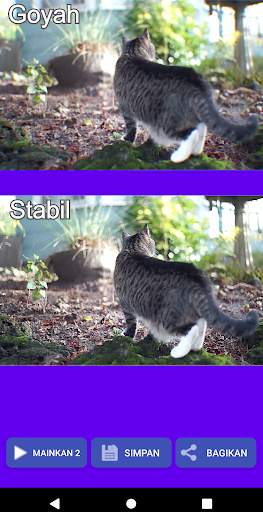 Penstabil Video screenshot 1