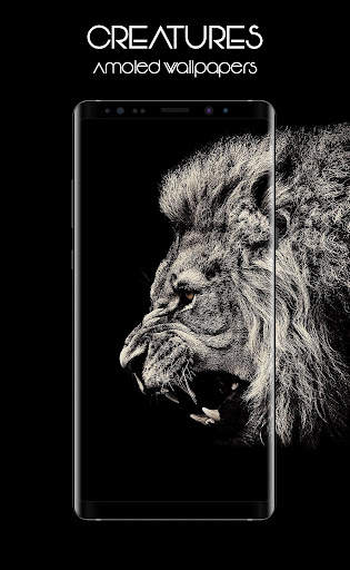 Starless - Amoled Wallpapers screenshot 4