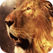 Lion in Fiery Sparks LWP icon