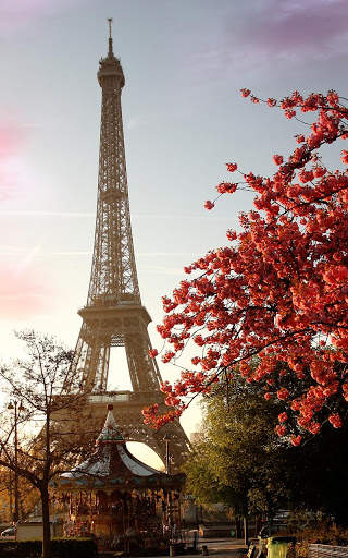 Sunny Paris Live Wallpaper screenshot 2