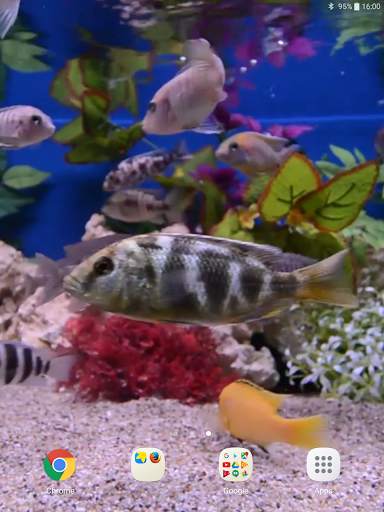 Aquarium Video Wallpaper screenshot 12