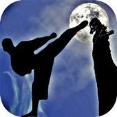 Ninja Shadow Game 1.0