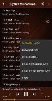 Al-Quran Murattal 30 Juz screenshot 4
