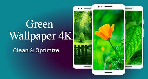Green Wallpaper 4K, Green Shades background screenshot 1