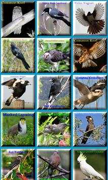 Birds Sound Animal скриншот 1