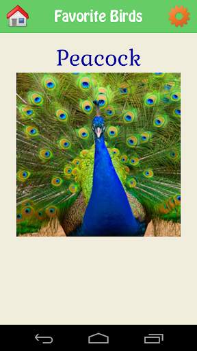 Animal Kingdom screenshot 6
