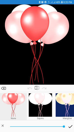 Canvas Photo Editor screenshot 2