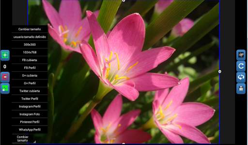 QReduce: Foto reductor screenshot 4