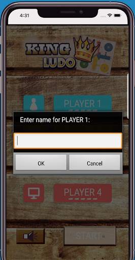King Of Ludo screenshot 7
