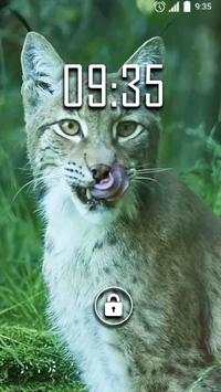 Animals for Kids Live WP screenshot 1