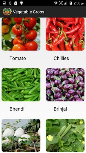 Vegetable Crops screenshot 2